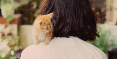 For pet professionals