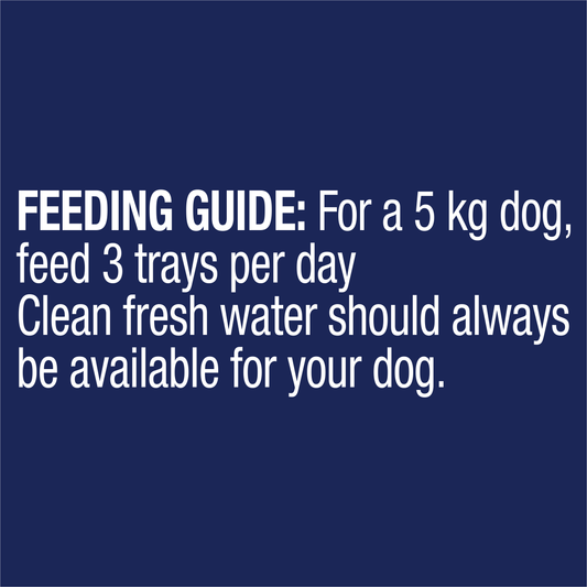 ADVANCE™ Dog Adult Oodles with Salmon Trays
