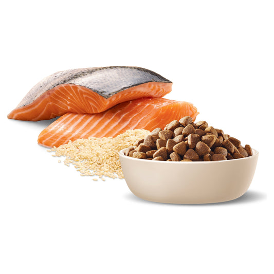 ADVANCE™ Sensitive Skin and Digestion Adult All Breed  Salmon with Rice